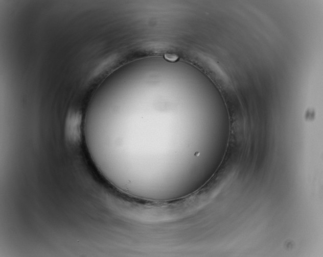 X0000102860024200808251237