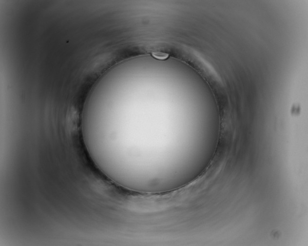 X0000102860025200808251237