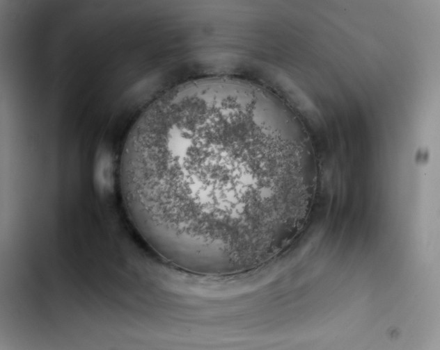 X0000102860026200808251237