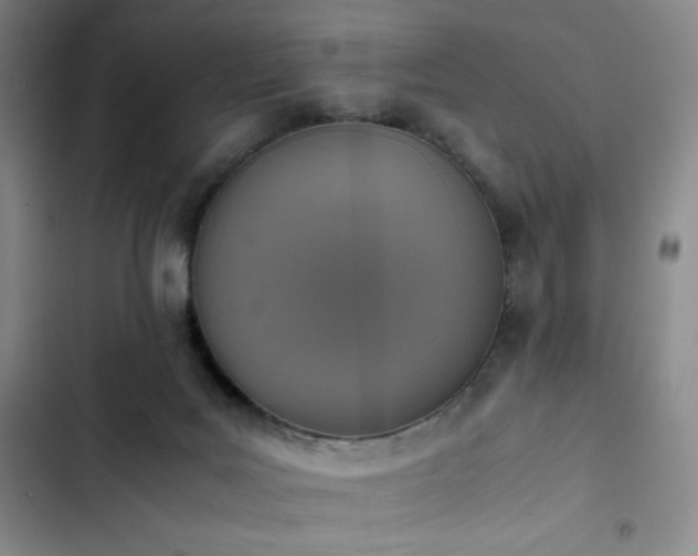 X0000102860027200808251237