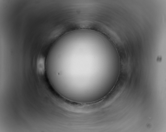 X0000102860028200808251237