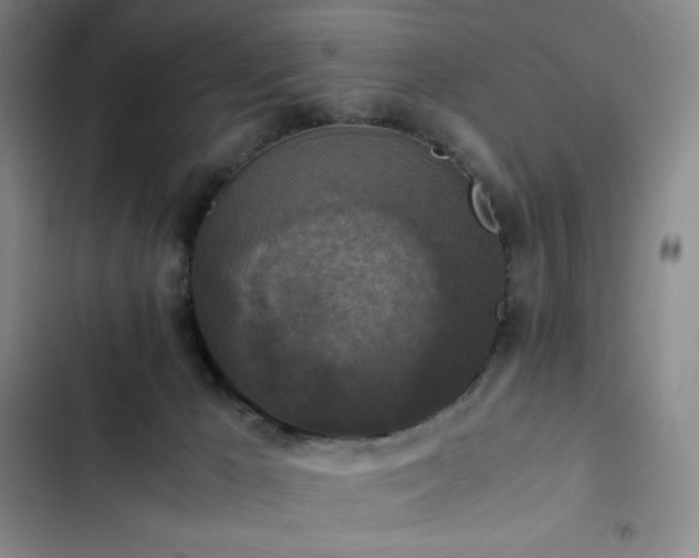 X0000102860029200808251237