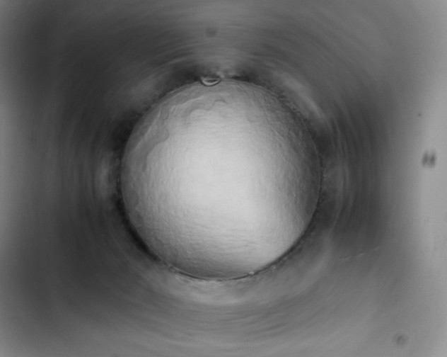 X0000102860030200808251237