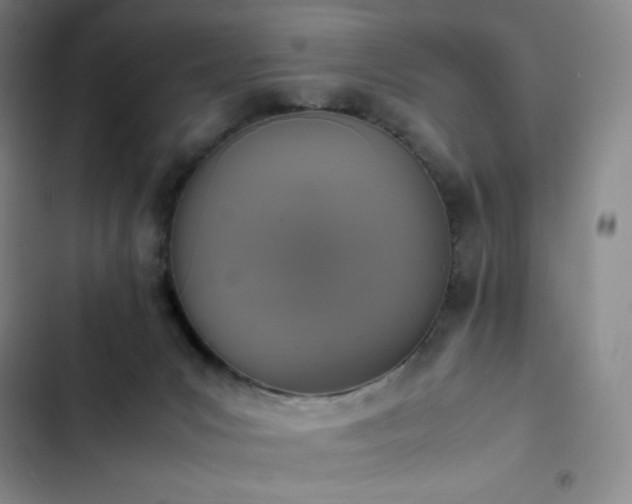 X0000102860031200808251237