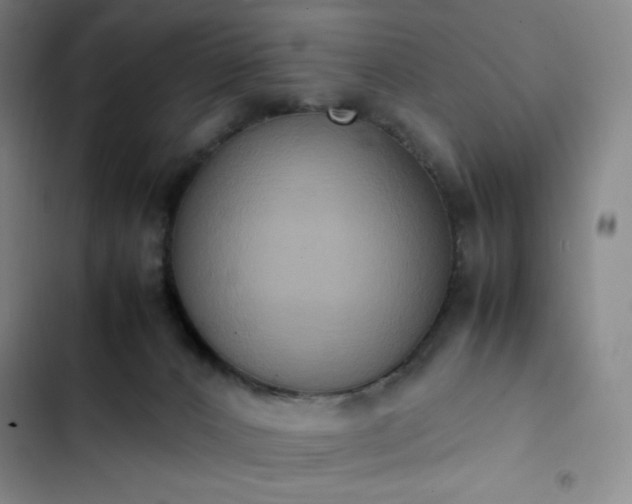 X0000102860032200808251237