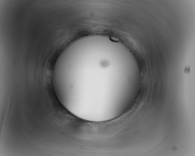 X0000102860033200808251237