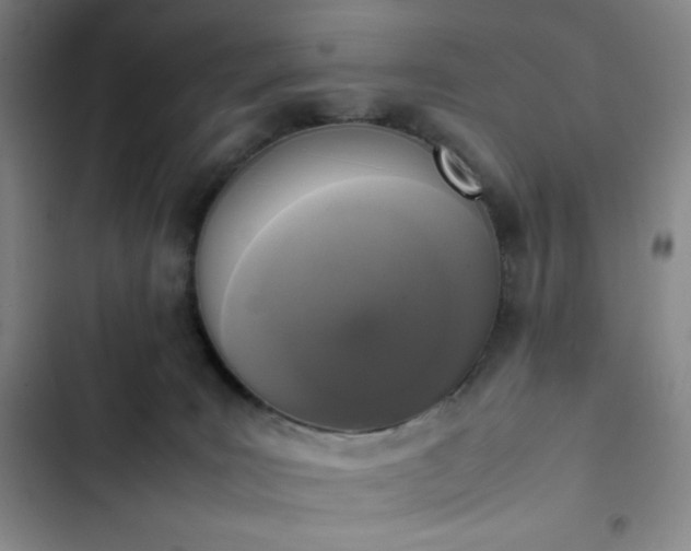 X0000102860035200808251237