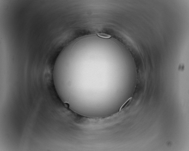 X0000102860037200808251237