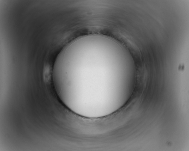 X0000102860038200808251237