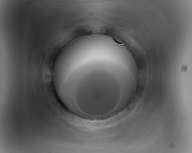 X0000102860039200808251237