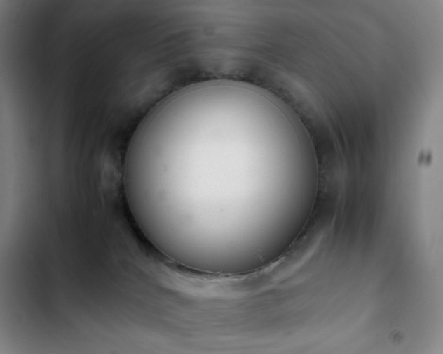 X0000102860040200808251237