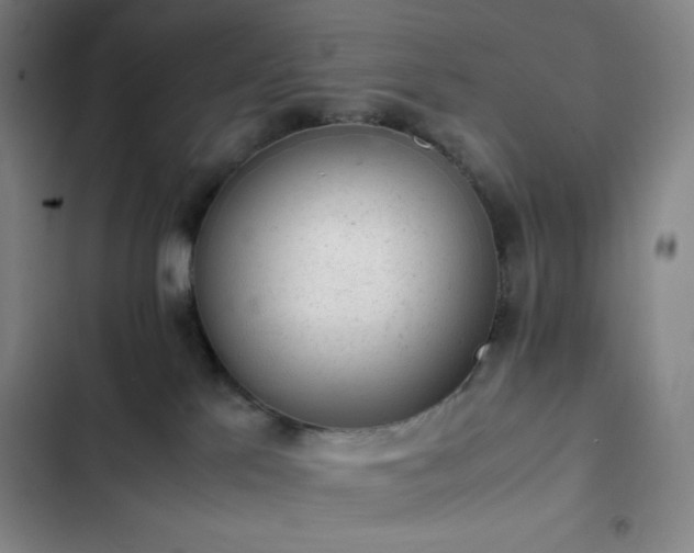 X0000102860041200808251237