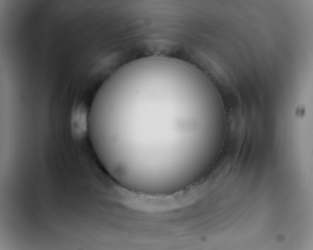 X0000102860042200808251237