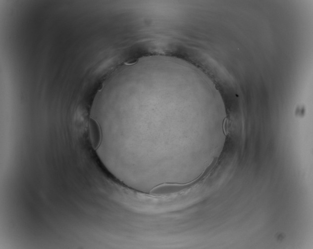 X0000102860043200808251236