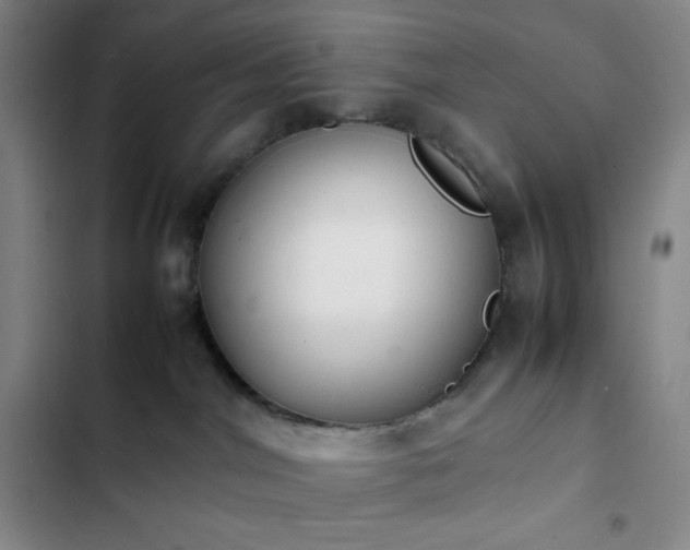 X0000102860044200808251236