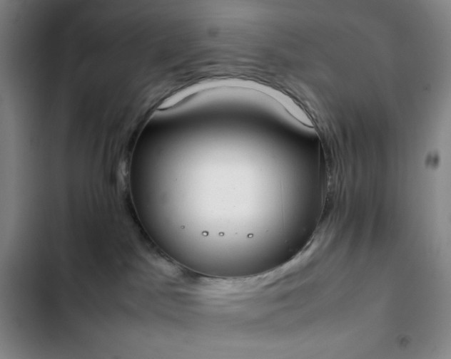 X0000102860045200808251236