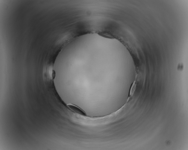 X0000102860047200808251236