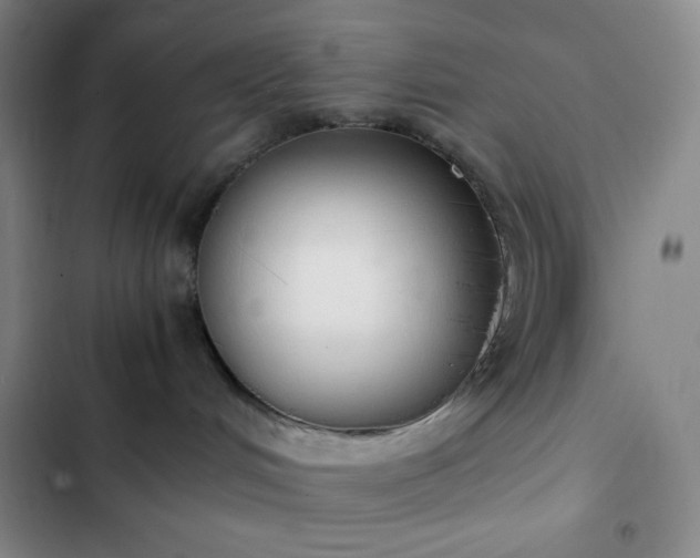 X0000102860048200808251236