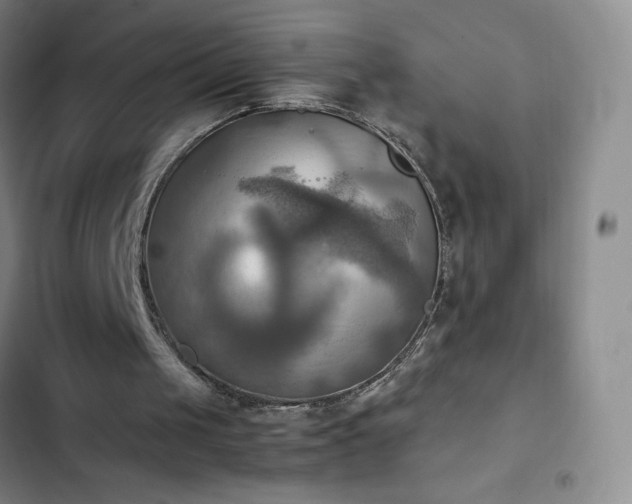 X0000102860049200808251236