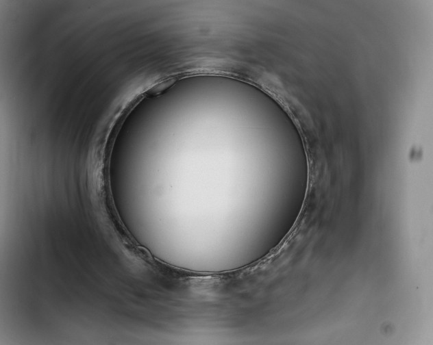 X0000102860050200808251236