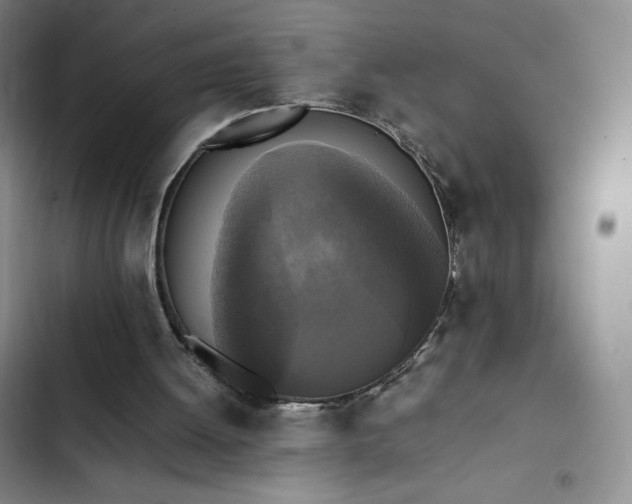 X0000102860052200808251236