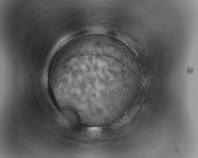 X0000102860053200808251236