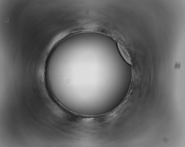 X0000102860054200808251236