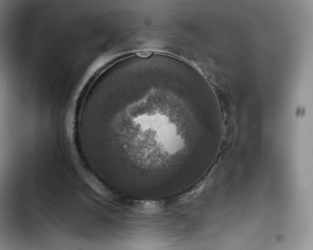 X0000102860056200808251236