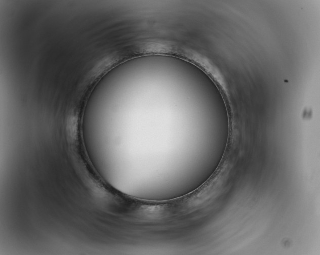 X0000102860057200808251236