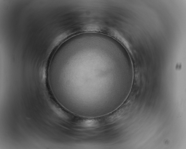 X0000102860059200808251236