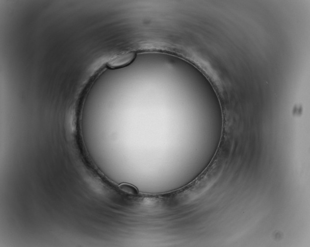 X0000102860060200808251236