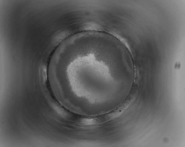 X0000102860061200808251236