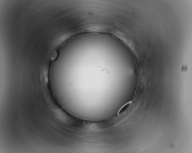 X0000102860062200808251236