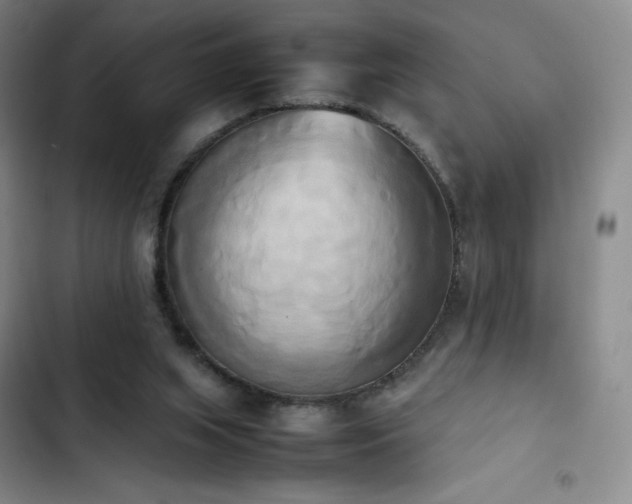 X0000102860063200808251236