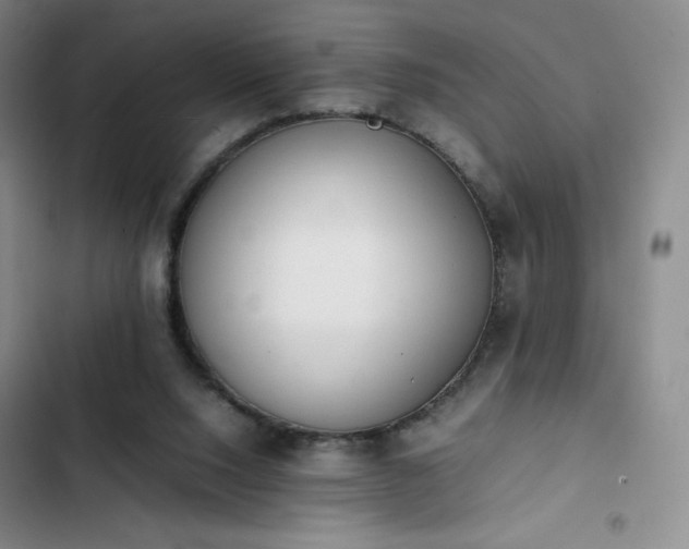 X0000102860064200808251236