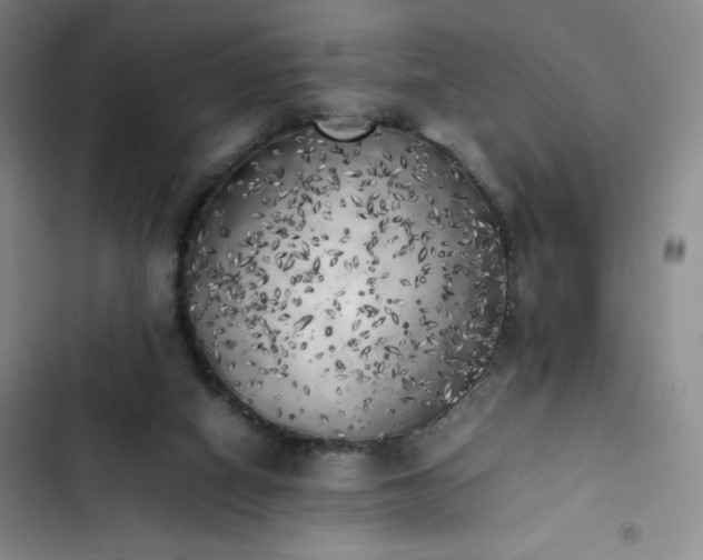 X0000102860066200808251236