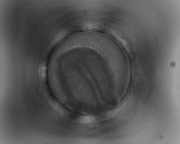 X0000102860067200808251236