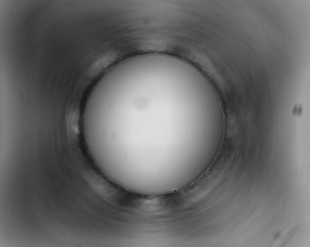 X0000102860068200808251236