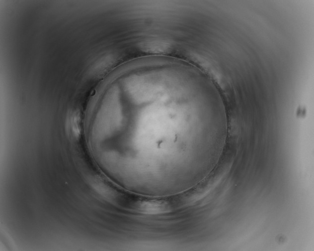 X0000102860069200808251236