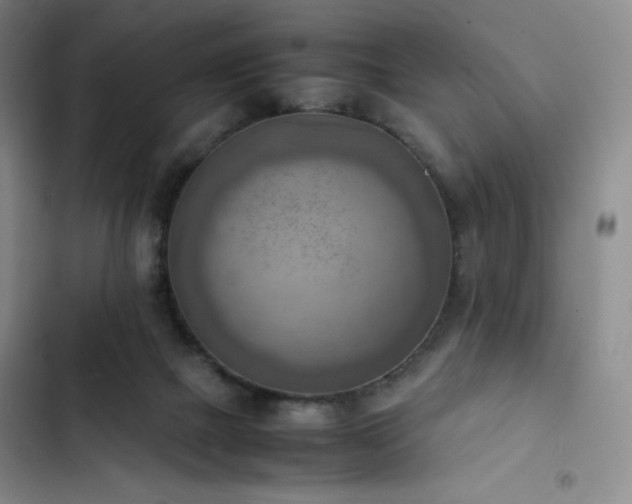 X0000102860073200808251236