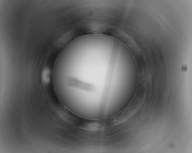 X0000102860075200808251236