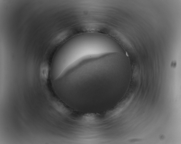 X0000102860076200808251236