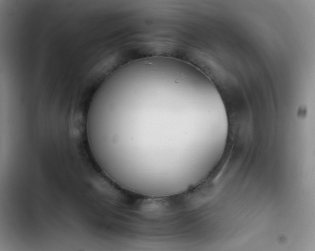 X0000102860077200808251236