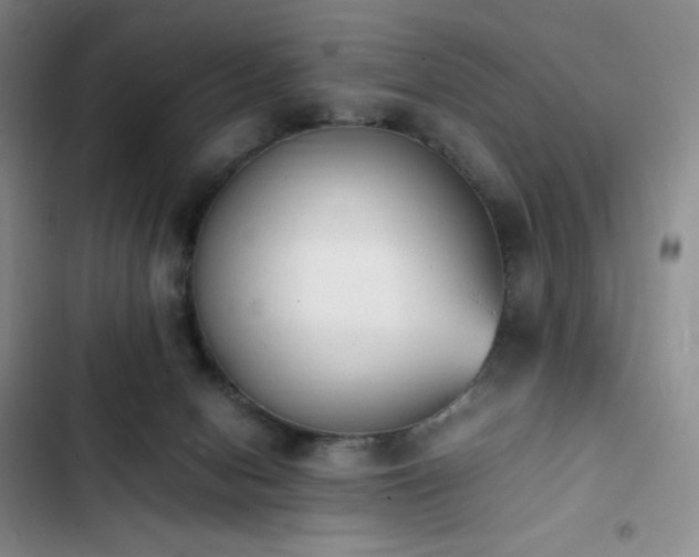 X0000102860078200808251236