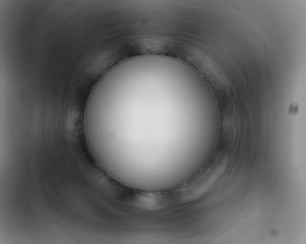 X0000102860079200808251236