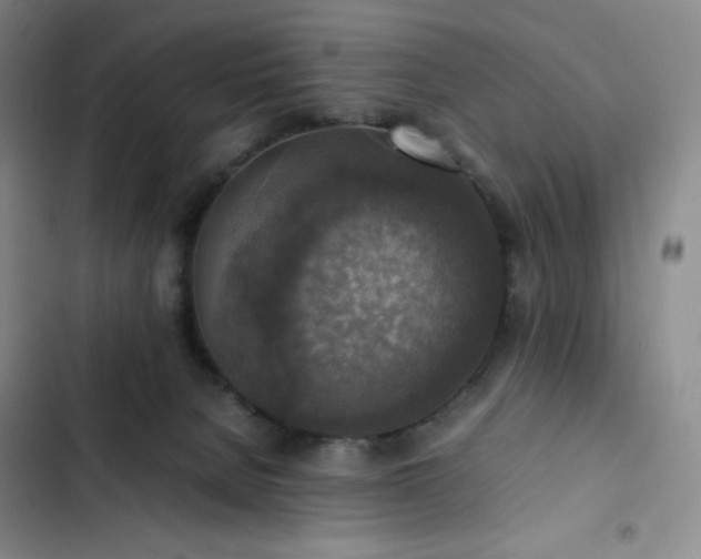 X0000102860080200808251236