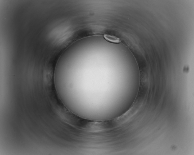 X0000102860082200808251236