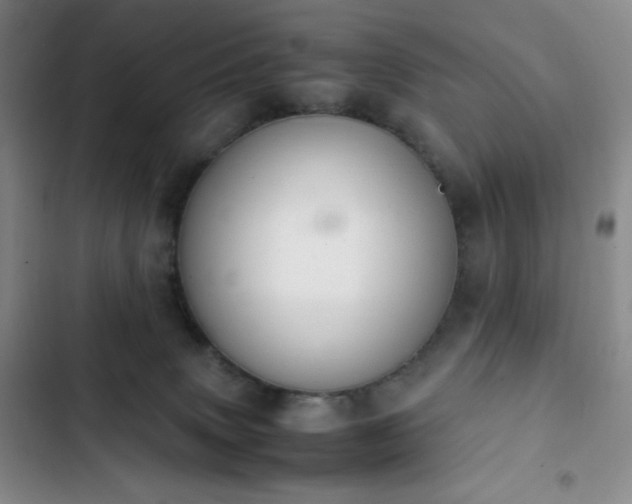 X0000102860083200808251236