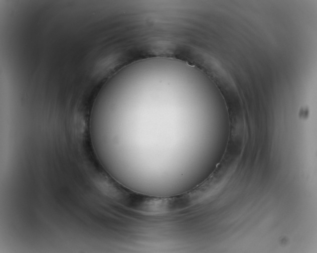 X0000102860084200808251236