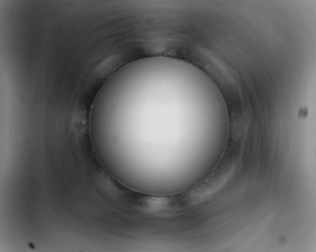 X0000102860085200808251236